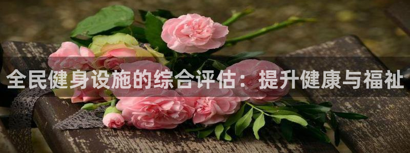 尊龙d88官网登录苹果版下载：全民健身设施的综合评估：提