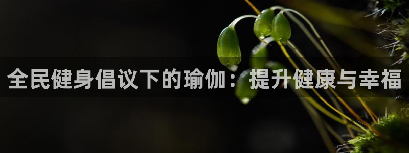 尊龙2021年最新消息：全民健身倡议下的瑜伽：提升健康与